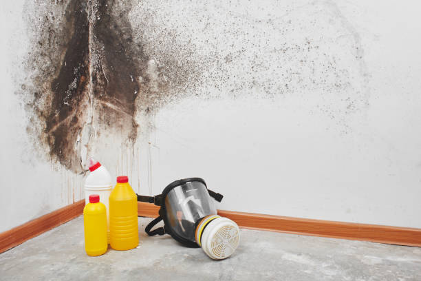 Exeter, PA Mold Remediation Company